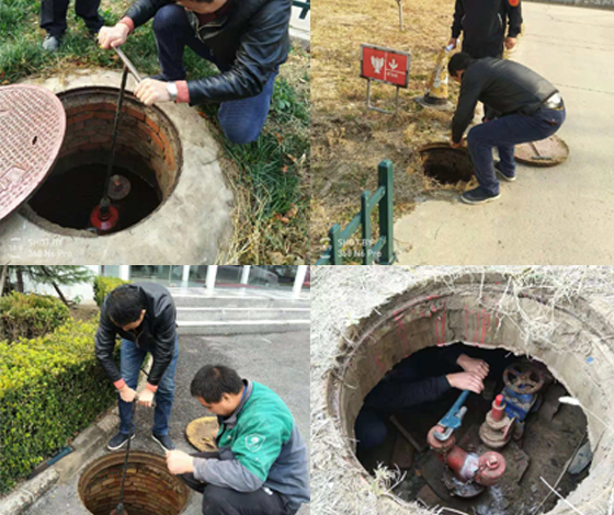 ����˨ϵ�y�S�o���B����